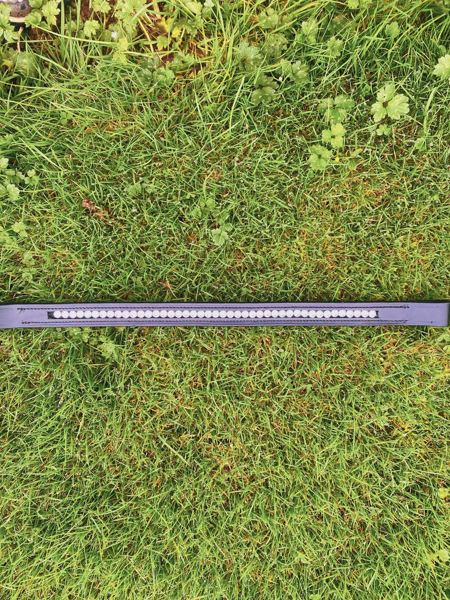 Sleek Diamond Browband