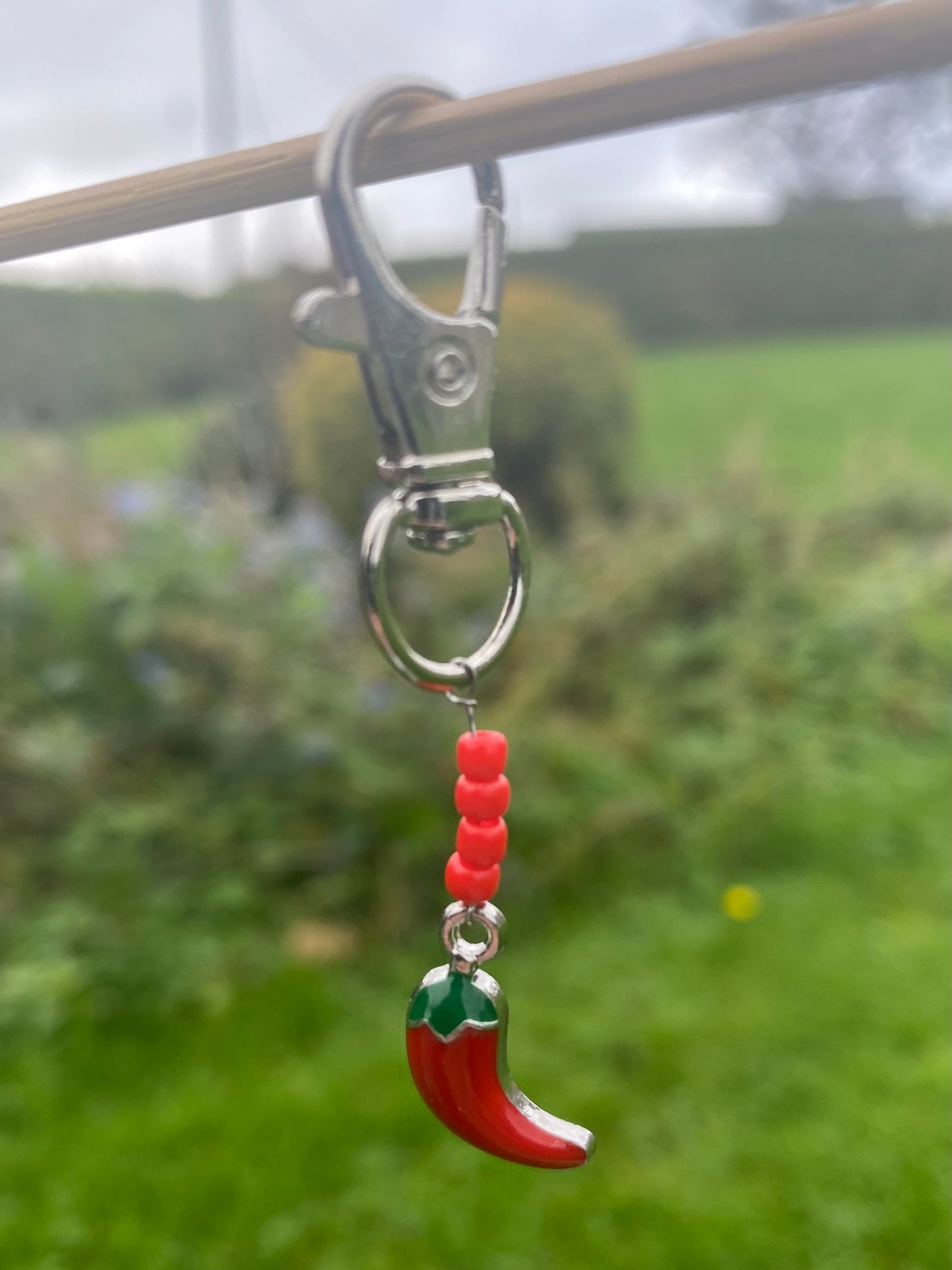 Hot Chilli Bridle Charm