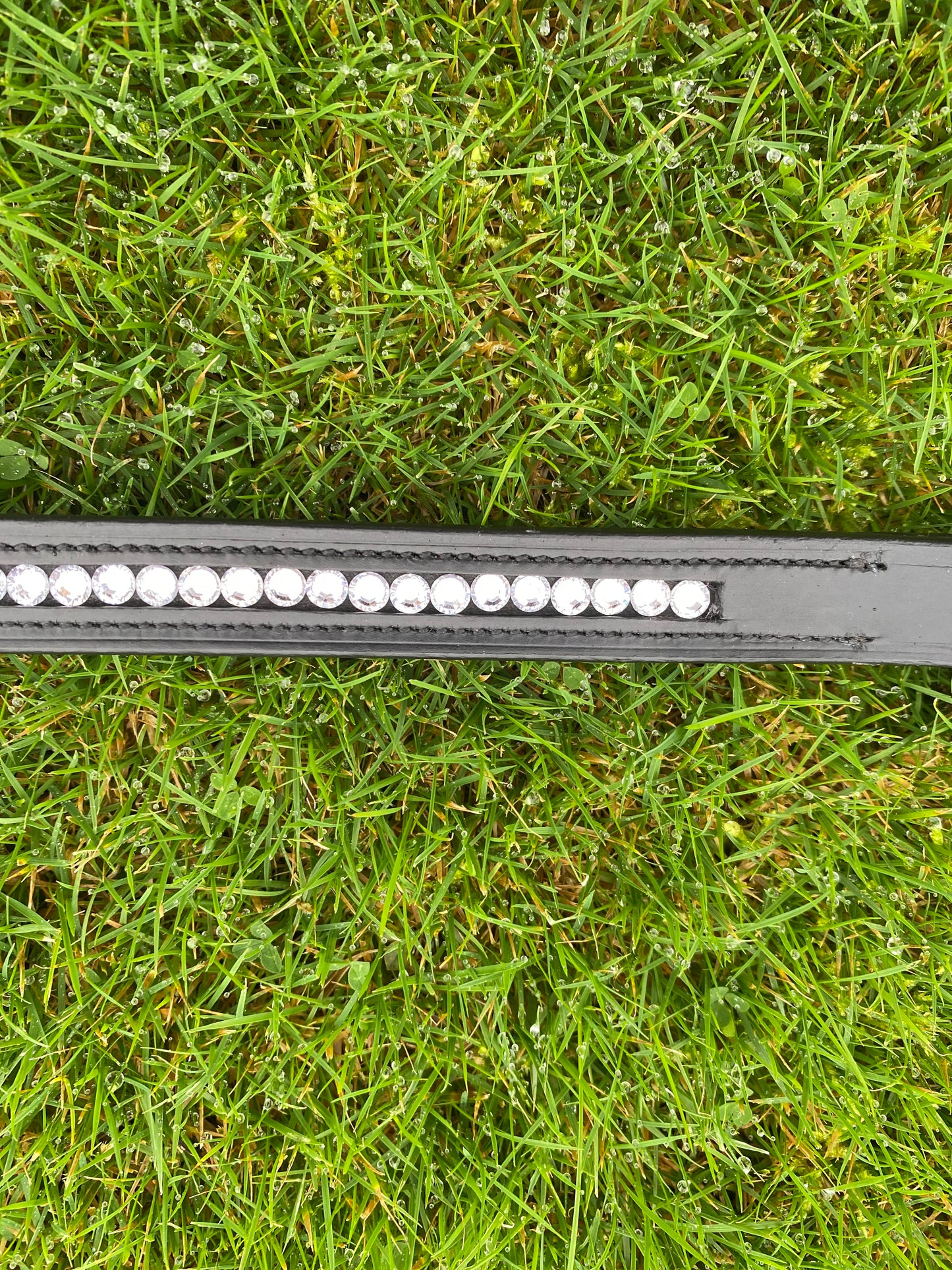 Sleek Diamond Browband