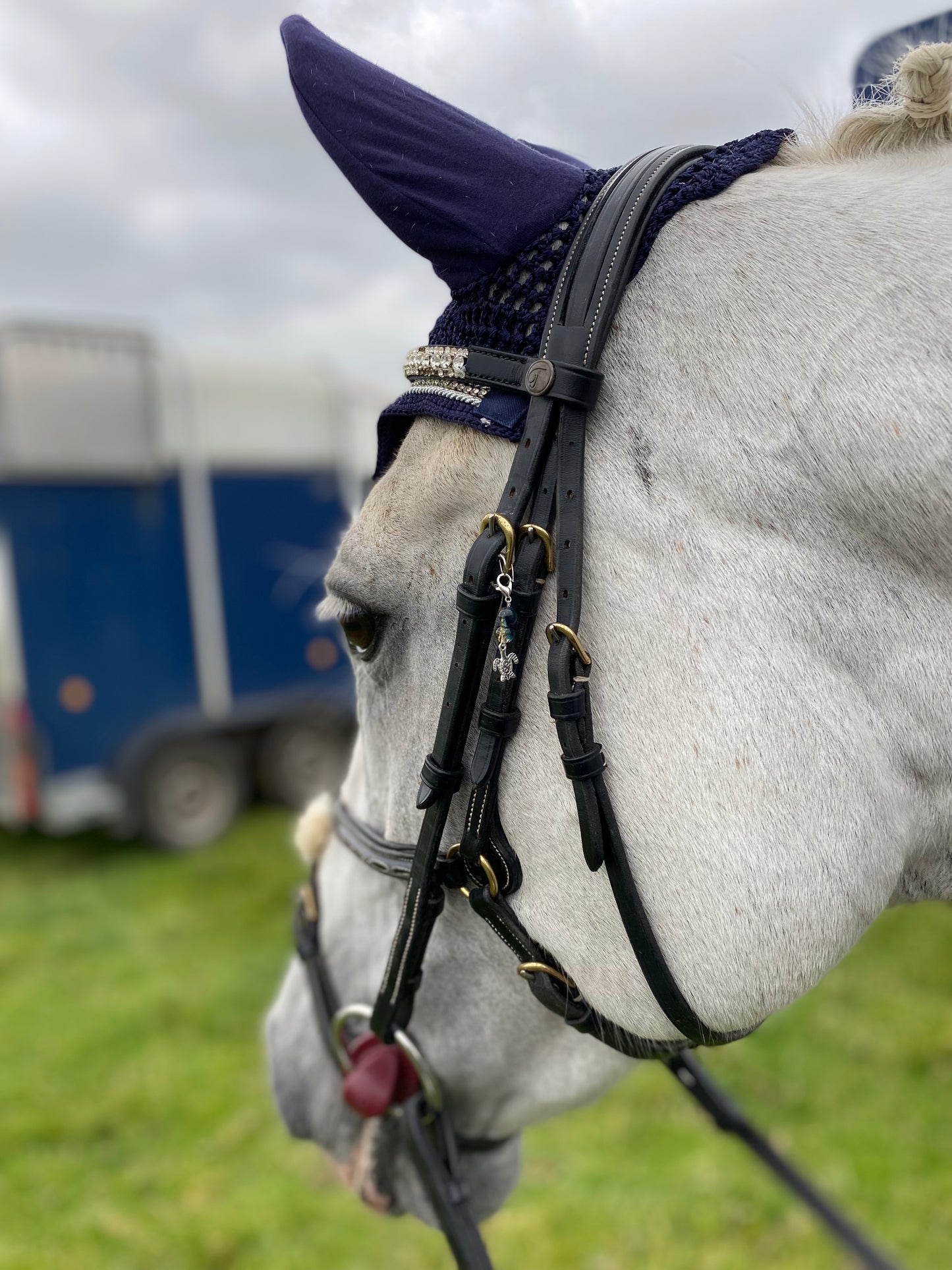 Celestial Turtle Bridle Charm