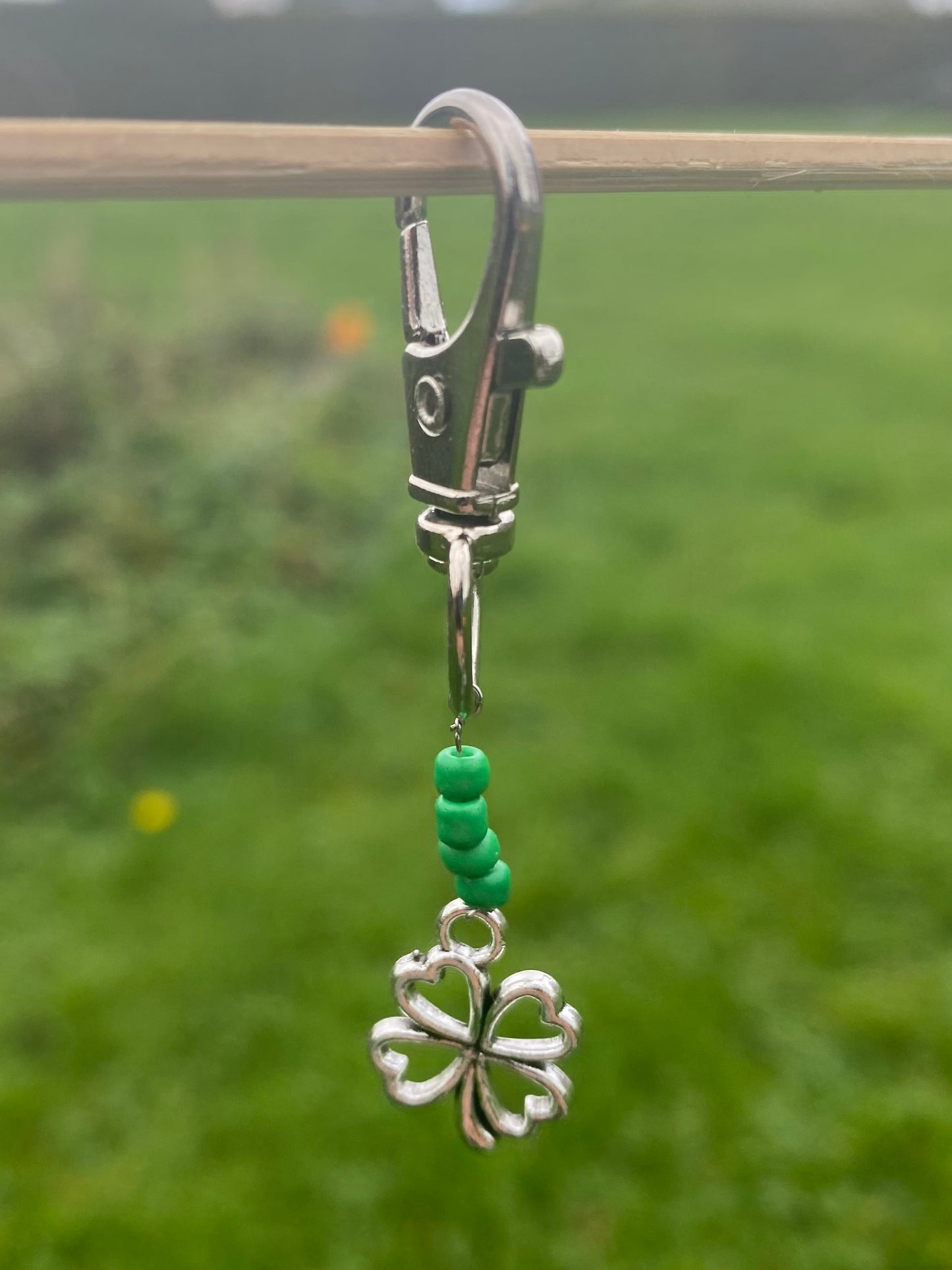 Lucky Bridle Charm