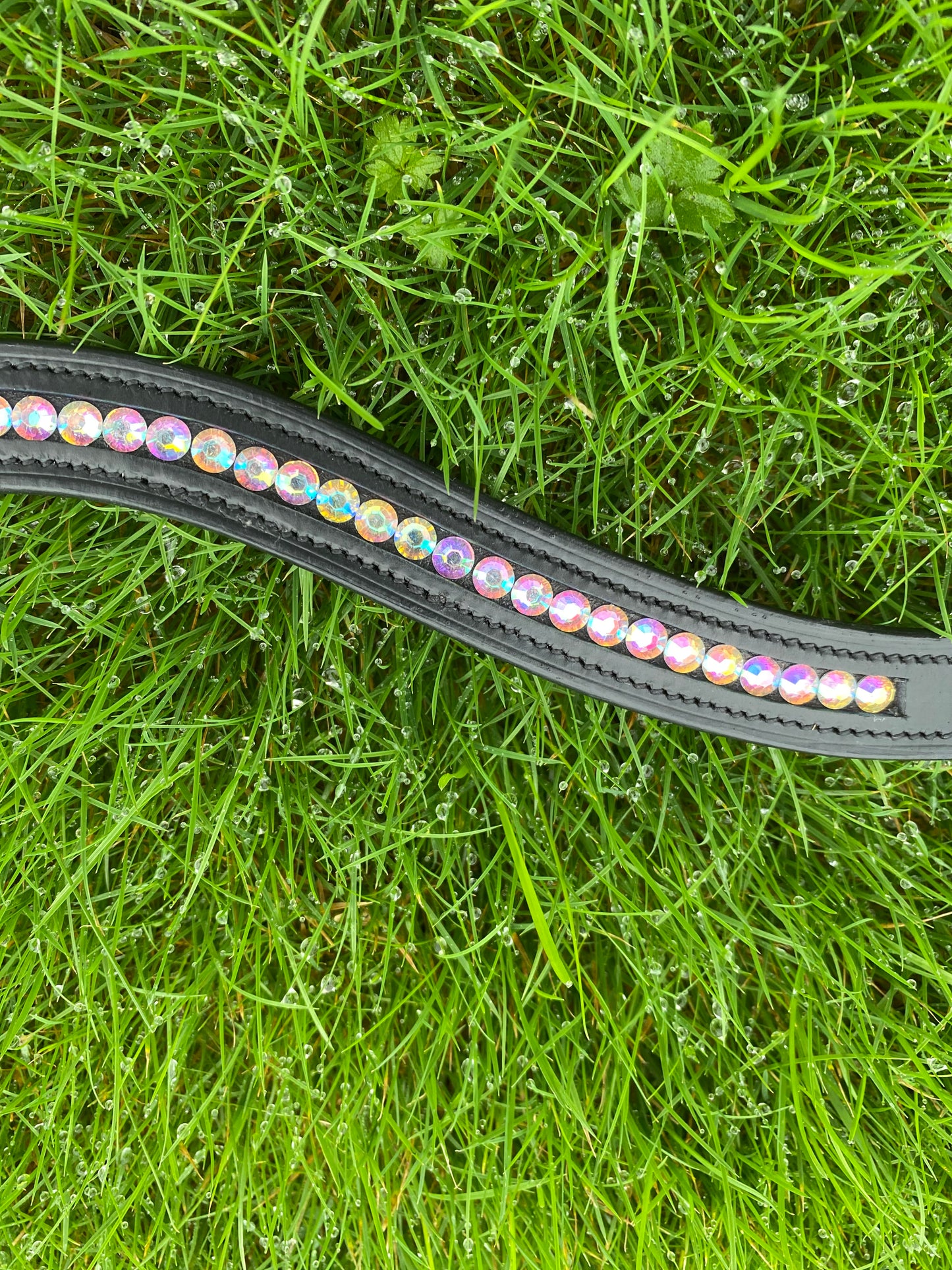 Diamond Essence Browband
