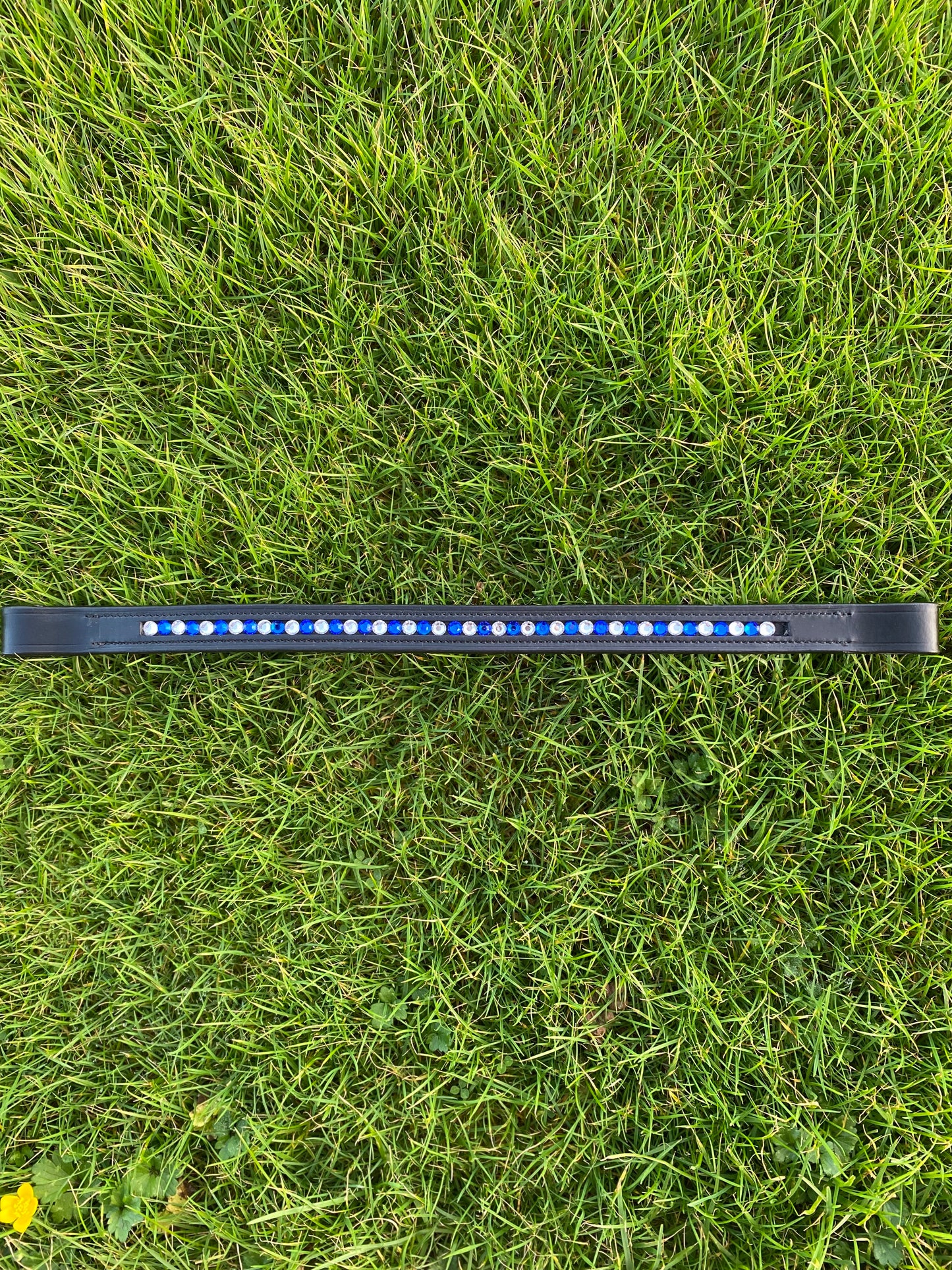 Custom Straight Diamond Browband